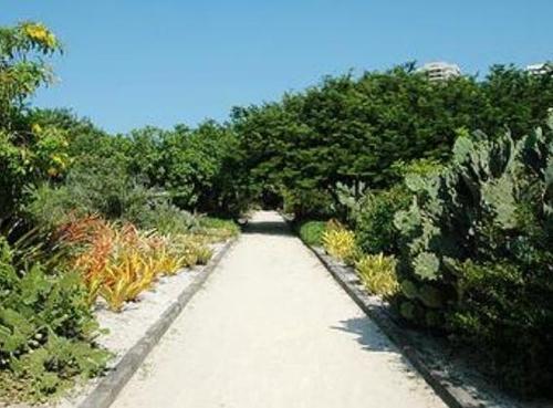 Apartamento para Venda em Rio De Janeiro / RJ no bairro Barra Da Tijuca - Rafael Aguiar Imóveis